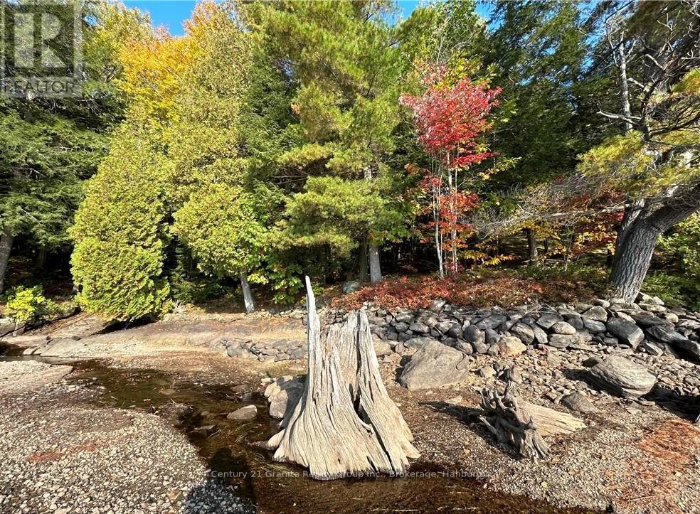 0 Kennisis Lake Road, Dysart Et Al, Ontario  K0M 1S0 - Photo 5 - X10437571