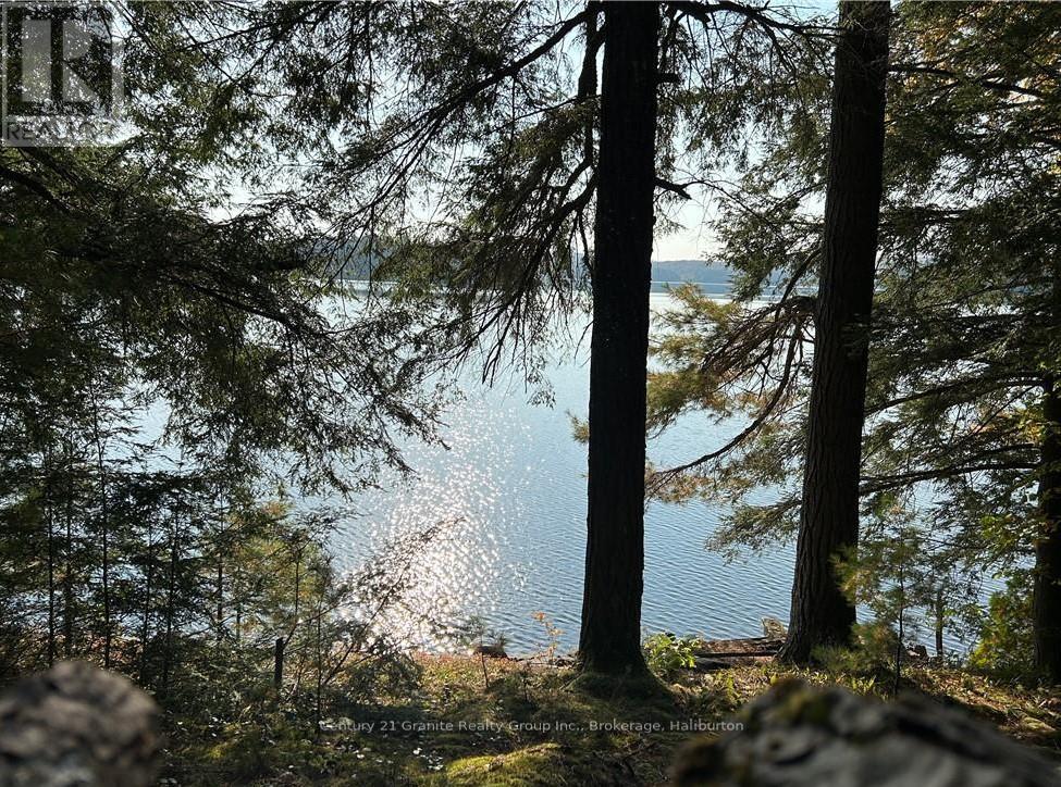 0 Kennisis Lake Road, Dysart Et Al, Ontario  K0M 1S0 - Photo 6 - X10437571