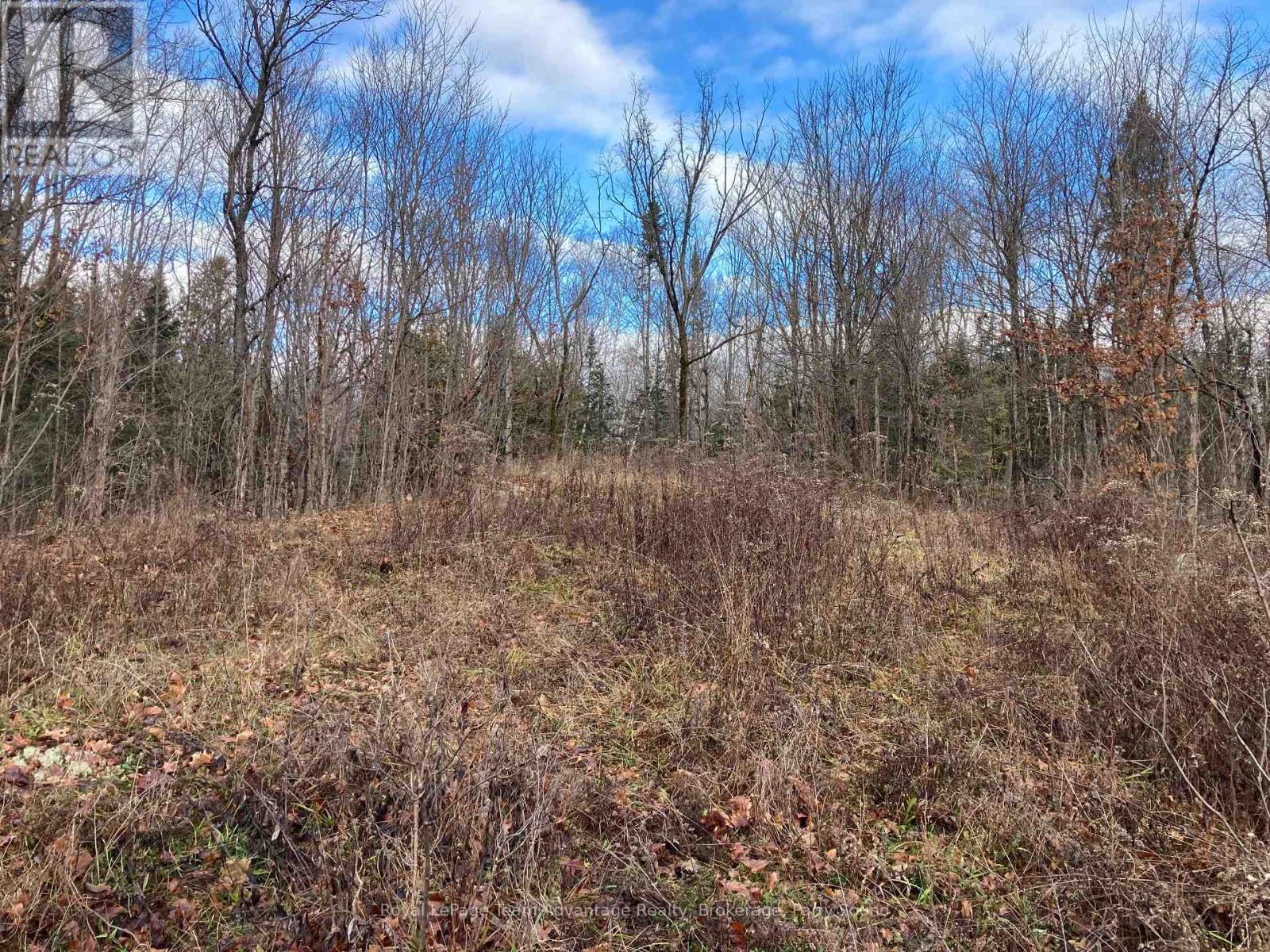 36 Ladds Road, Whitestone, Ontario  P0A 1G0 - Photo 10 - X10440206