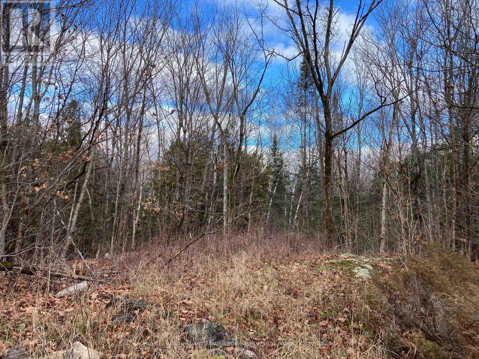 36 Ladds Road, Whitestone, Ontario  P0A 1G0 - Photo 11 - X10440206