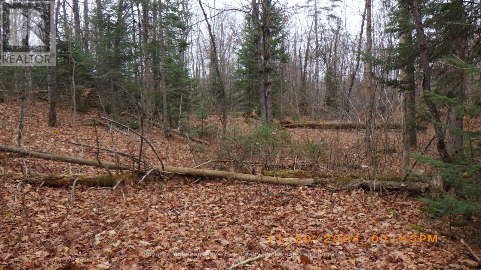 36 Ladds Road, Whitestone, Ontario  P0A 1G0 - Photo 6 - X10440206