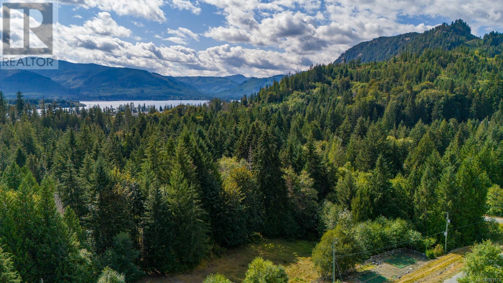 Lot 13 Teal Crt, Lake Cowichan, British Columbia  V0R 2G0 - Photo 25 - 981573