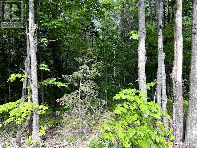 N/a Uffington Road, Bracebridge (Draper), Ontario  P1L 1X1 - Photo 8 - X11881930