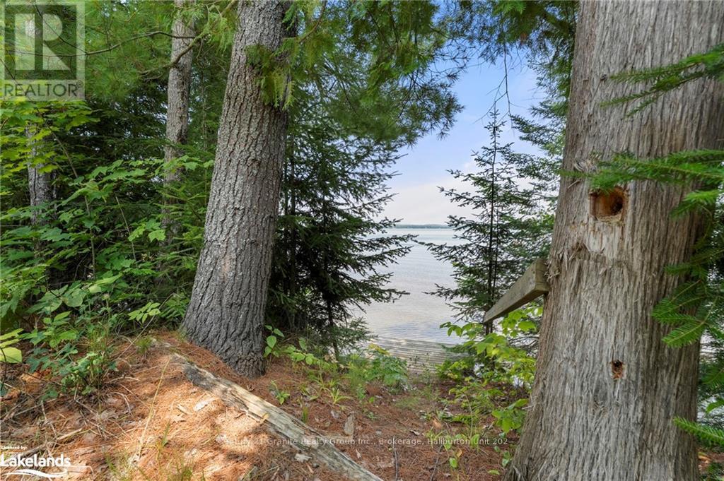 1753 Northshore Road, Algonquin Highlands (Stanhope), Ontario  K0M 1J1 - Photo 26 - X10437297