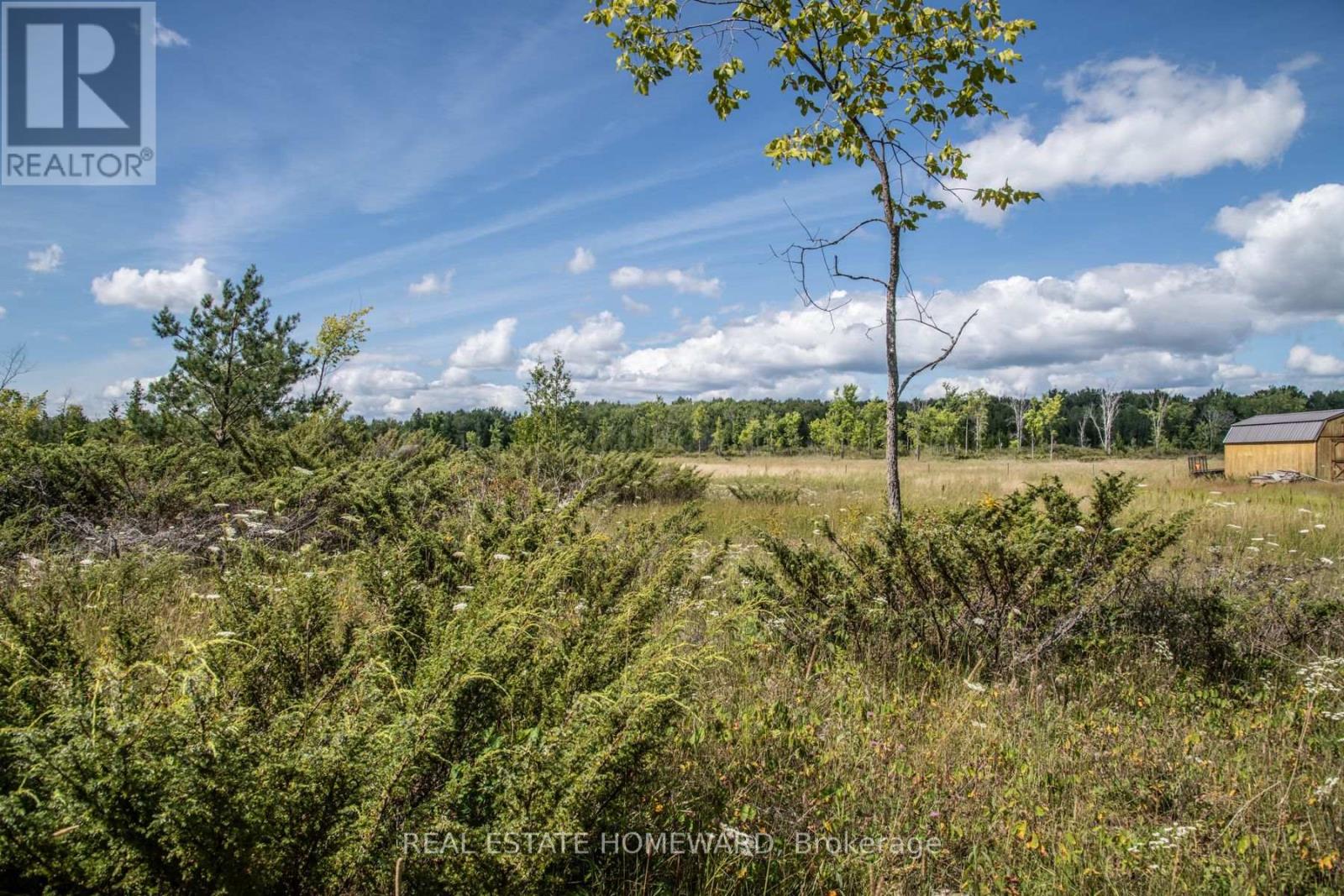 Lot 250 Mcguire Beach Road, Kawartha Lakes, Ontario  K0M 2B0 - Photo 1 - X6744628
