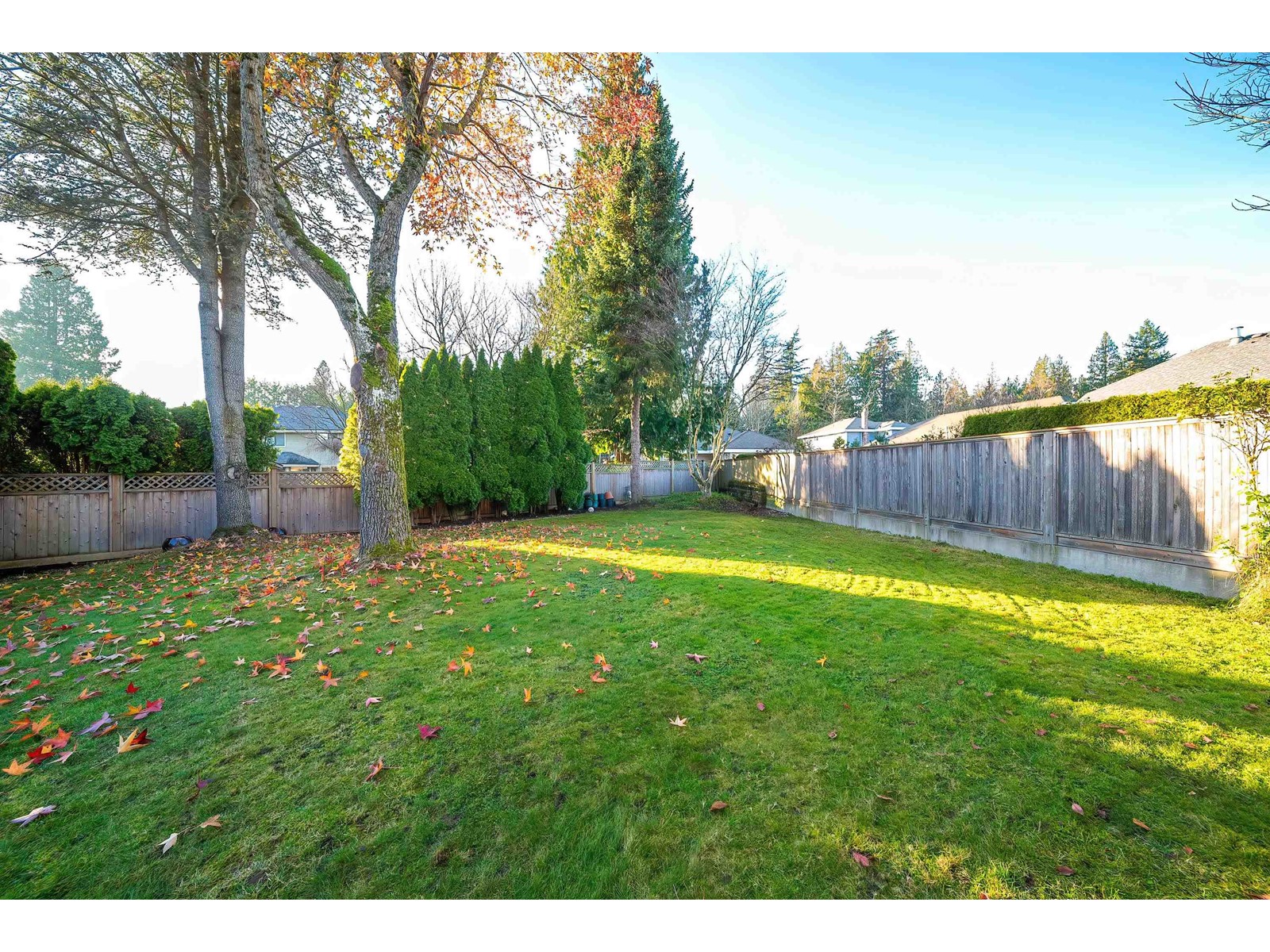 14816 20a Avenue, Surrey, British Columbia  V4A 8L3 - Photo 28 - R2948938