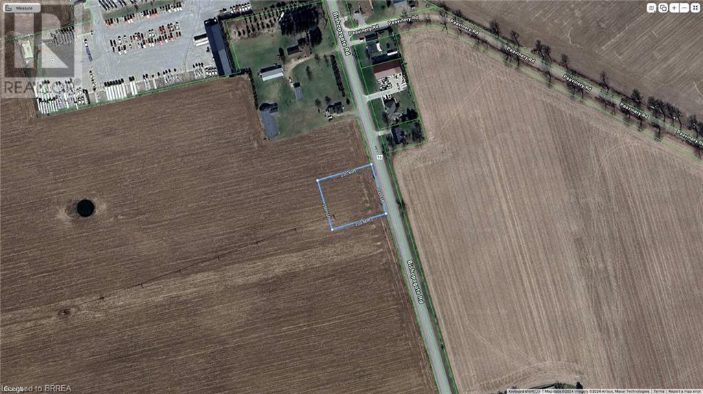 289 Bishopsgate Road, Burford, Ontario  N0E 1A0 - Photo 3 - 40683614