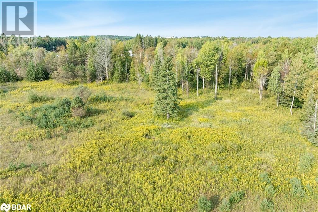 3152 Davis Drive, Newmarket, Ontario  L3Y 4W1 - Photo 4 - 40683457