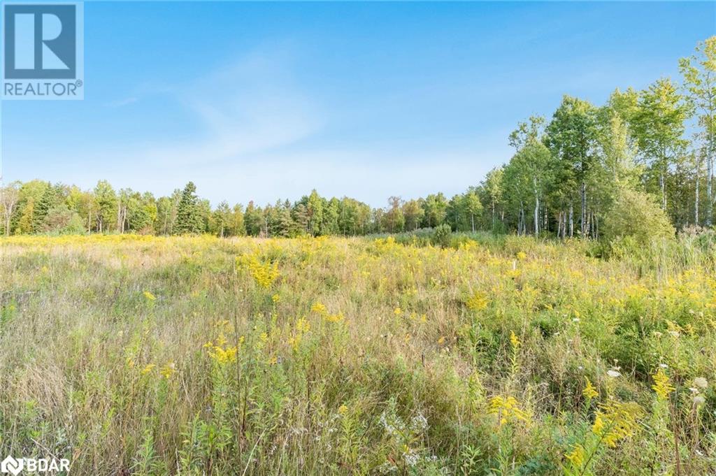 3152 Davis Drive, Newmarket, Ontario  L3Y 4W1 - Photo 3 - 40683457