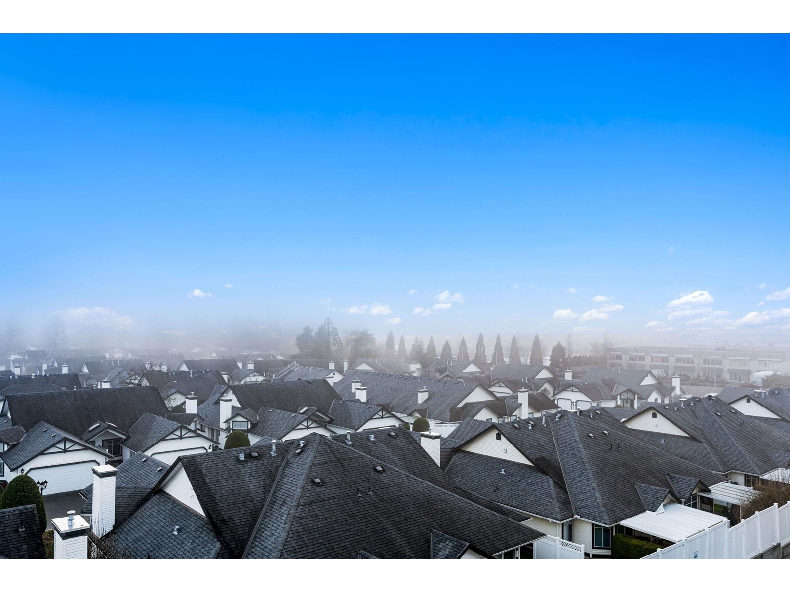 14 19670 55a Avenue, Langley, British Columbia  V3A 0M1 - Photo 31 - R2948831