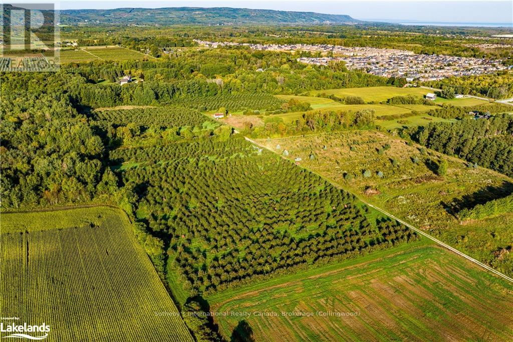 7781 Poplar Side Road, Clearview, Ontario  L9Y 5N4 - Photo 38 - S10434840