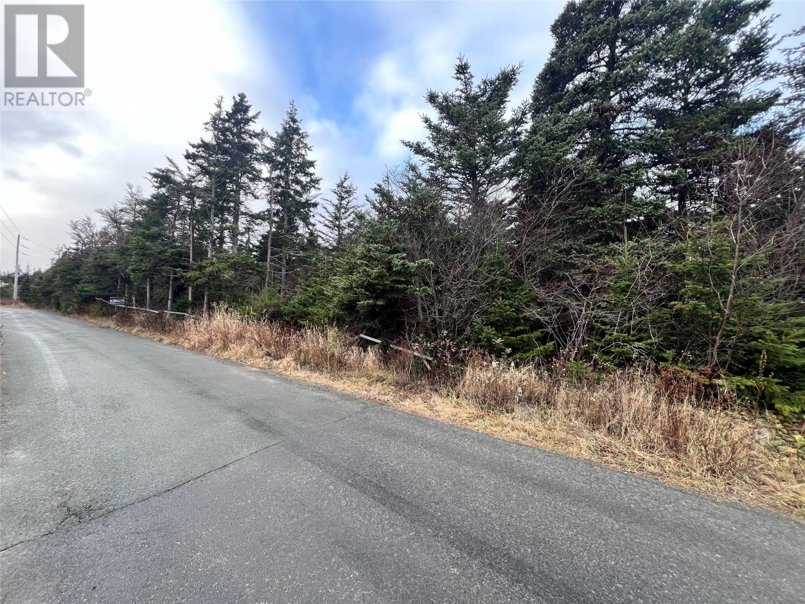 2 - 12 Cathill Road, Bay Roberts, Newfoundland & Labrador  A0A 1G0 - Photo 3 - 1280175