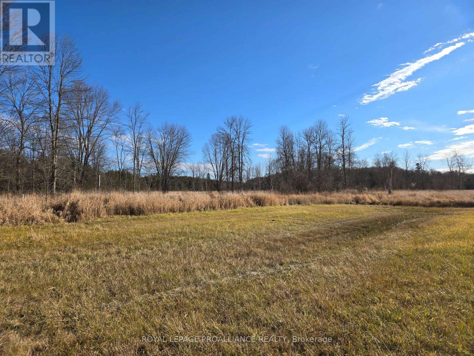 0 Cooper Road, Madoc, Ontario K0K 2K0 - Photo 20 - X11882286