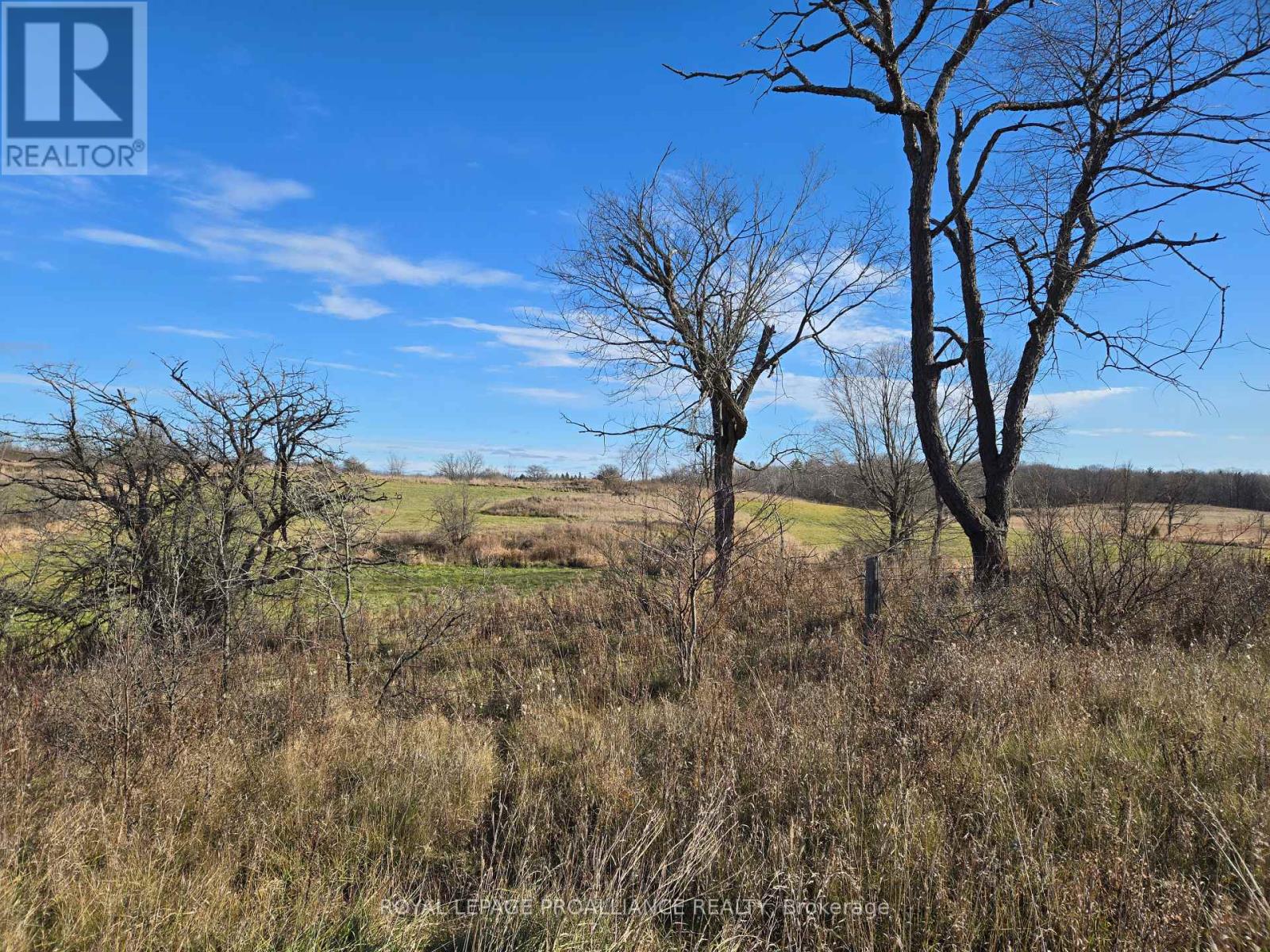 0 Cooper Road, Madoc, Ontario K0K 2K0 - Photo 5 - X11882286