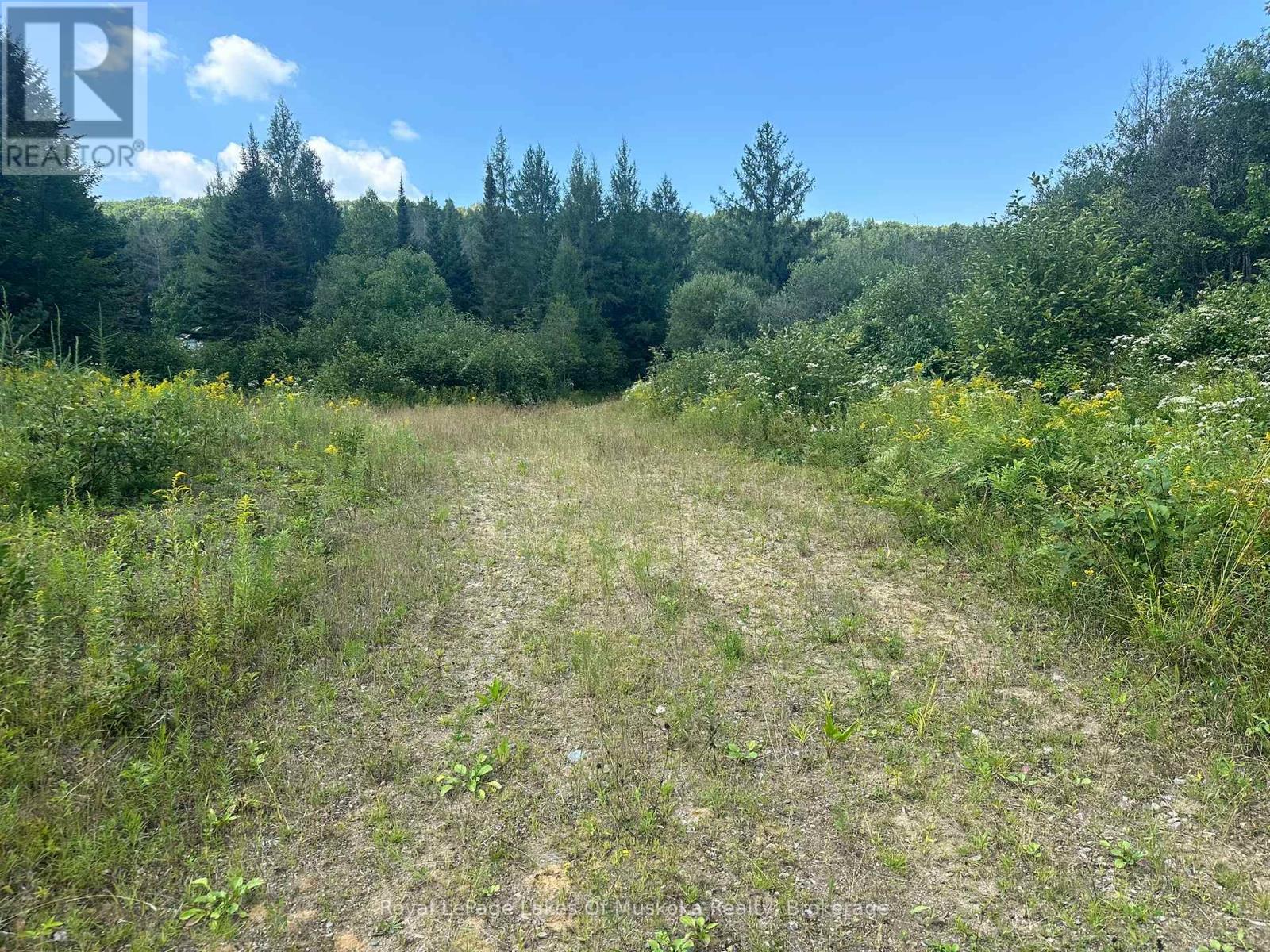 834 Garage Road, Armour, Ontario  P0A 1C0 - Photo 3 - X11883154