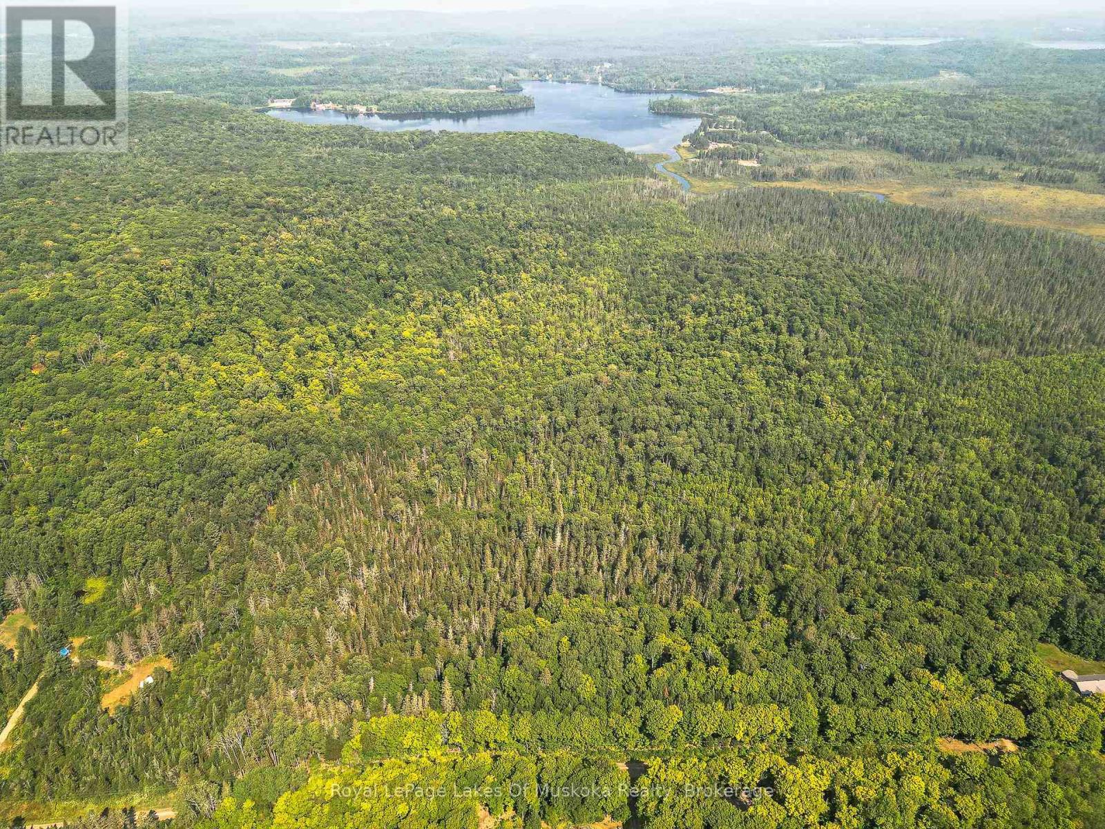 834 Garage Road, Armour, Ontario  P0A 1C0 - Photo 5 - X11883154