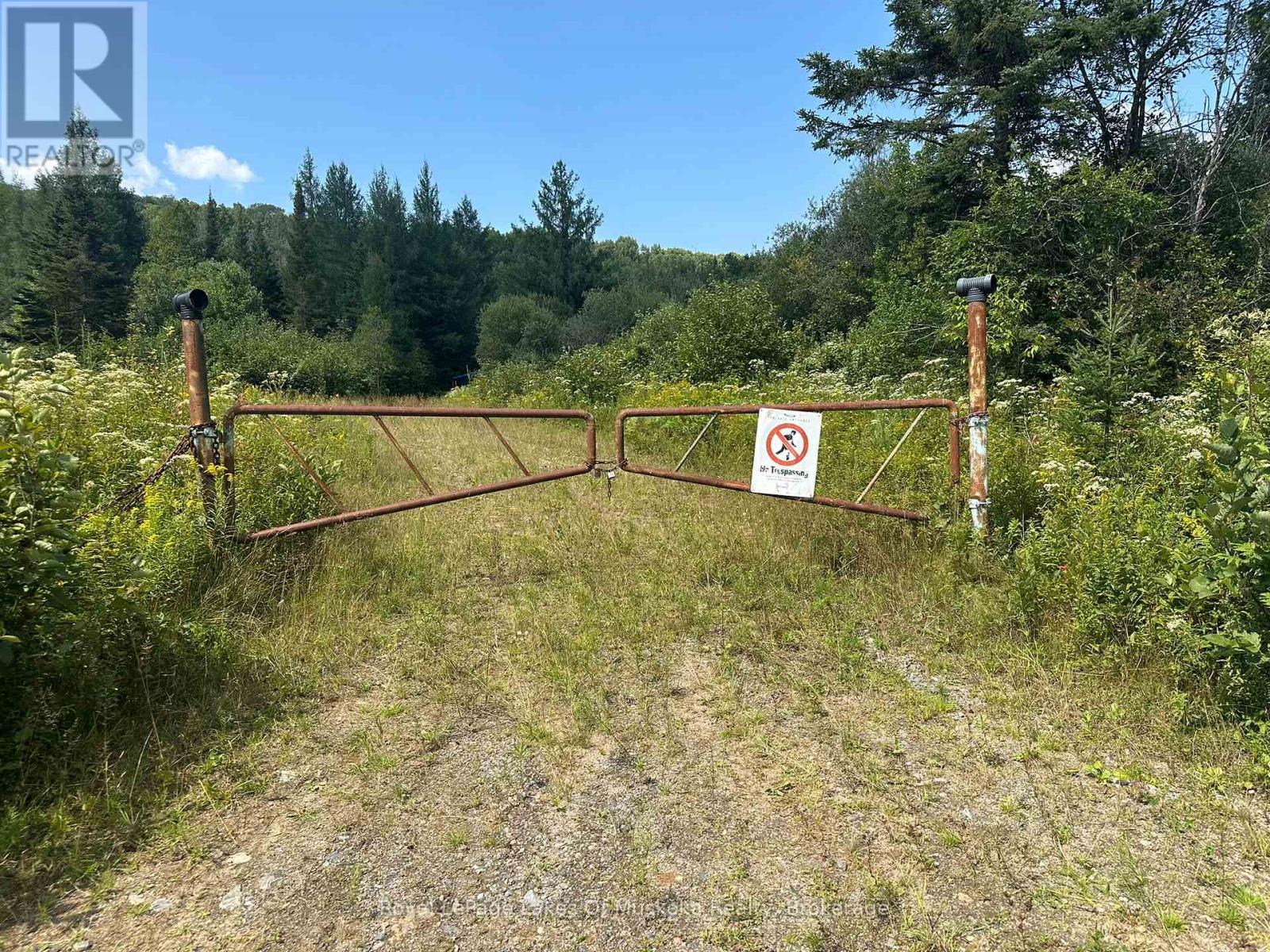 834 Garage Road, Armour, Ontario  P0A 1C0 - Photo 9 - X11883154