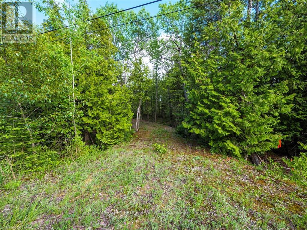 Lt31-32 Big Tub Road, Northern Bruce Peninsula, Ontario  N0H 2R0 - Photo 11 - X10846831