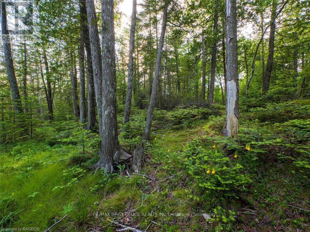 Lt31-32 Big Tub Road, Northern Bruce Peninsula, Ontario  N0H 2R0 - Photo 12 - X10846831