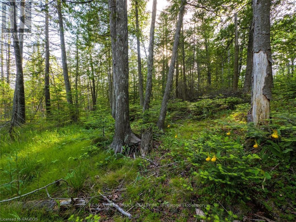 Lt31-32 Big Tub Road, Northern Bruce Peninsula, Ontario  N0H 2R0 - Photo 13 - X10846831