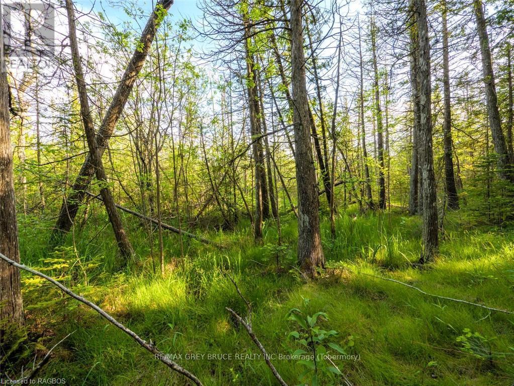 Lt31-32 Big Tub Road, Northern Bruce Peninsula, Ontario  N0H 2R0 - Photo 15 - X10846831