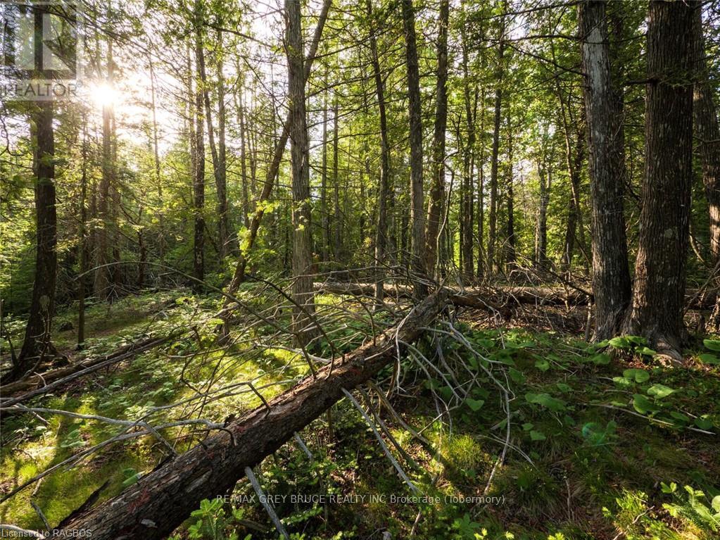 Lt31-32 Big Tub Road, Northern Bruce Peninsula, Ontario  N0H 2R0 - Photo 18 - X10846831