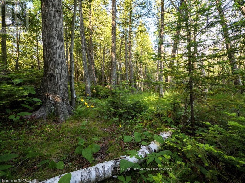 Lt31-32 Big Tub Road, Northern Bruce Peninsula, Ontario  N0H 2R0 - Photo 19 - X10846831