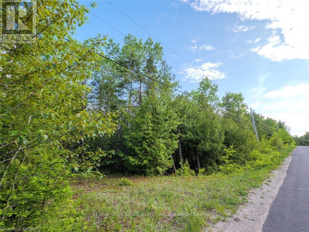 Lt31-32 Big Tub Road, Northern Bruce Peninsula, Ontario  N0H 2R0 - Photo 27 - X10846831