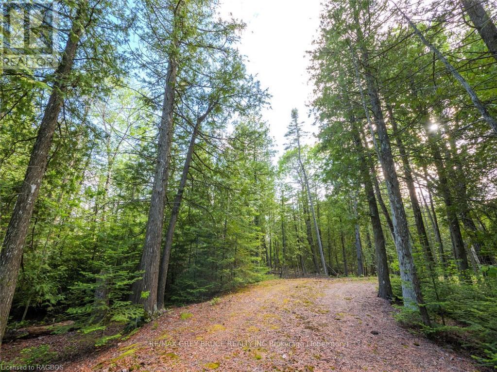Lt31-32 Big Tub Road, Northern Bruce Peninsula, Ontario  N0H 2R0 - Photo 3 - X10846831