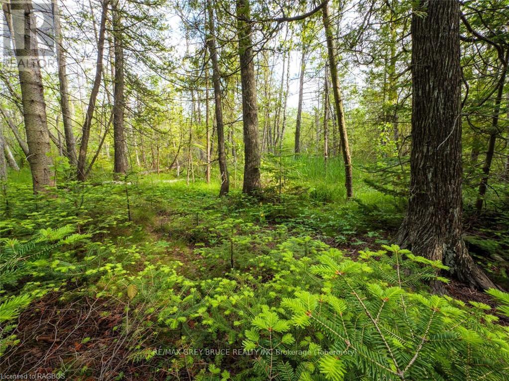 Lt31-32 Big Tub Road, Northern Bruce Peninsula, Ontario  N0H 2R0 - Photo 6 - X10846831