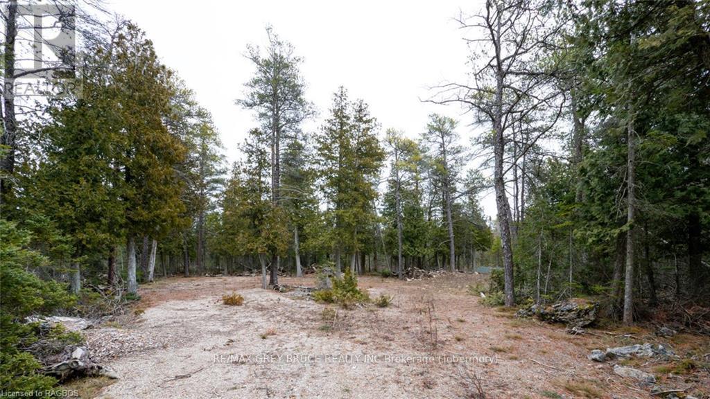 1035 Dorcas Bay Road, Northern Bruce Peninsula, Ontario  N0H 2R0 - Photo 13 - X10848519