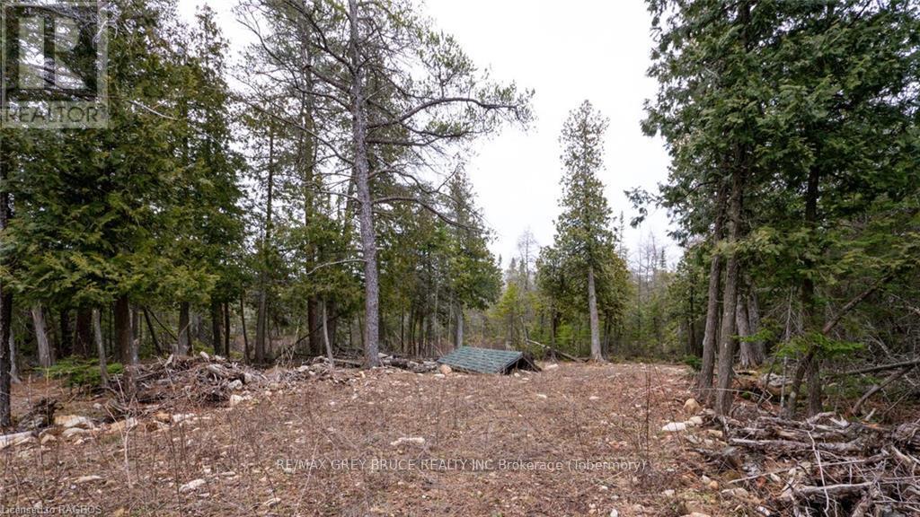 1035 Dorcas Bay Road, Northern Bruce Peninsula, Ontario  N0H 2R0 - Photo 14 - X10848519