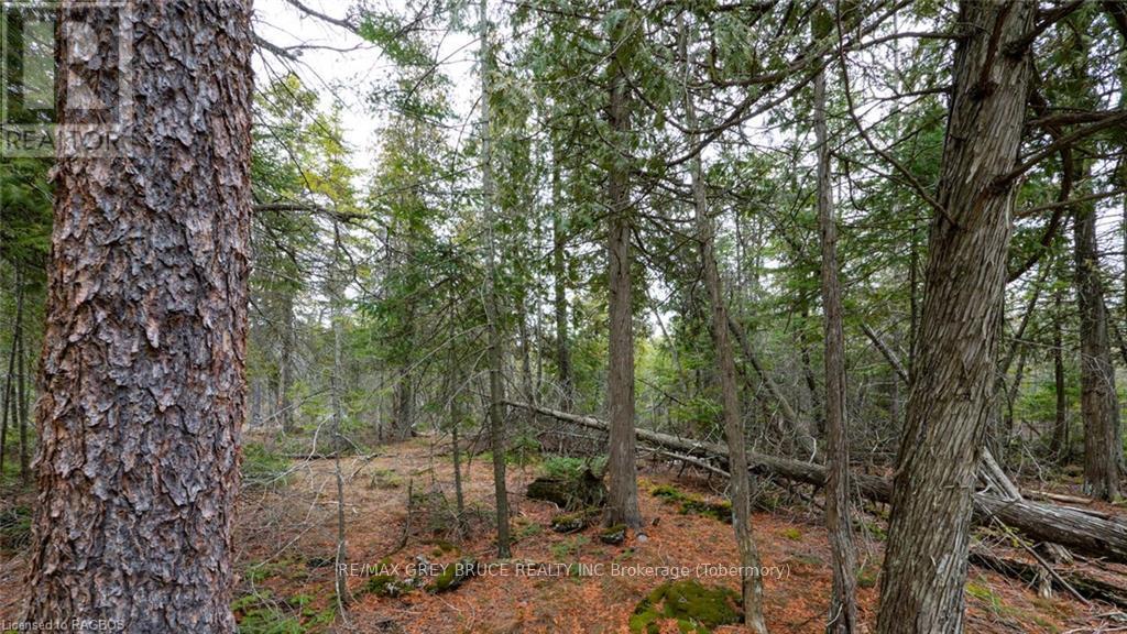 1035 Dorcas Bay Road, Northern Bruce Peninsula, Ontario  N0H 2R0 - Photo 18 - X10848519