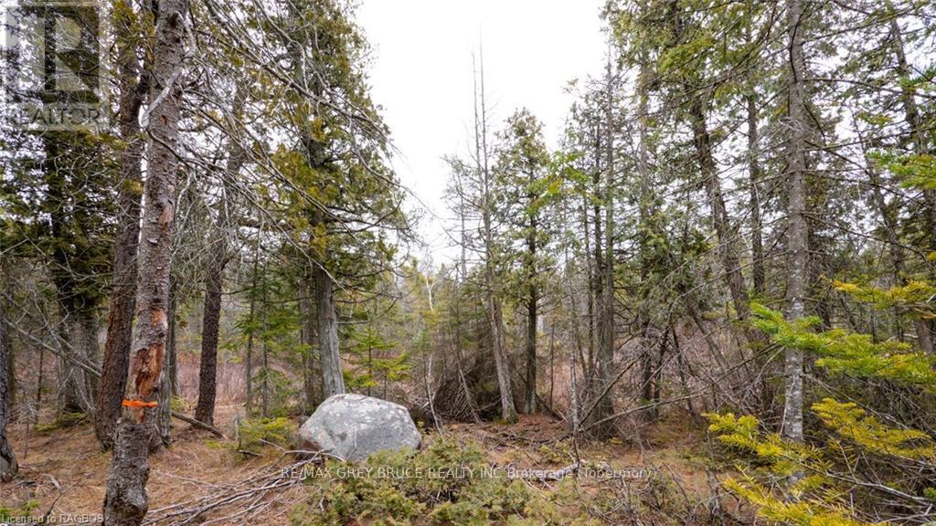 1035 Dorcas Bay Road, Northern Bruce Peninsula, Ontario  N0H 2R0 - Photo 20 - X10848519