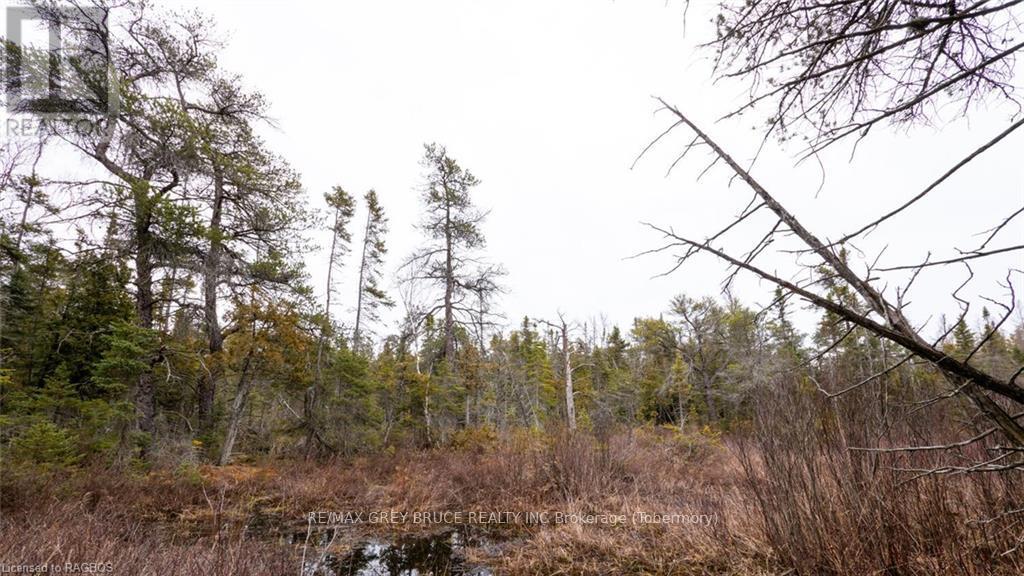 1035 Dorcas Bay Road, Northern Bruce Peninsula, Ontario  N0H 2R0 - Photo 21 - X10848519