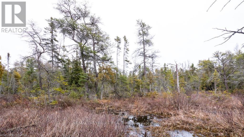 1035 Dorcas Bay Road, Northern Bruce Peninsula, Ontario  N0H 2R0 - Photo 22 - X10848519