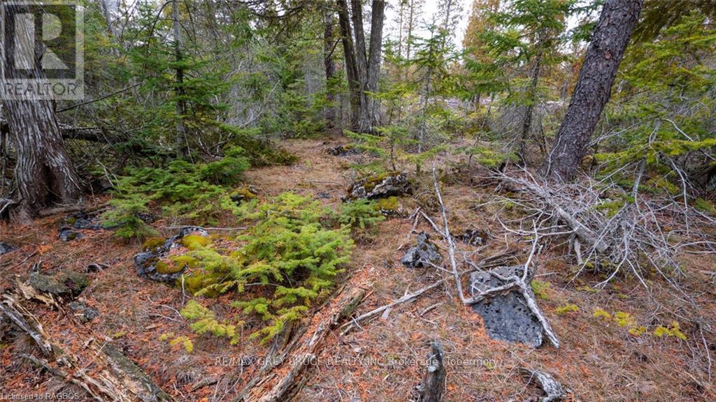 1035 Dorcas Bay Road, Northern Bruce Peninsula, Ontario  N0H 2R0 - Photo 23 - X10848519