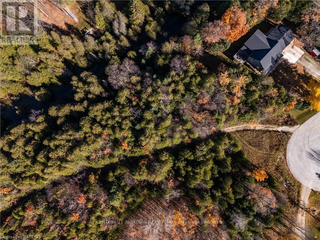 Lt 1 Pt 821 Inglis Drive, Grey Highlands, Ontario  N0C 1M0 - Photo 11 - X10850029