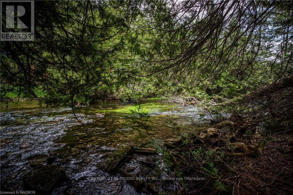 Lt 1 Pt 821 Inglis Drive, Grey Highlands, Ontario  N0C 1M0 - Photo 15 - X10850029