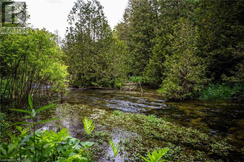 Lt 1 Pt 821 Inglis Drive, Grey Highlands, Ontario  N0C 1M0 - Photo 16 - X10850029