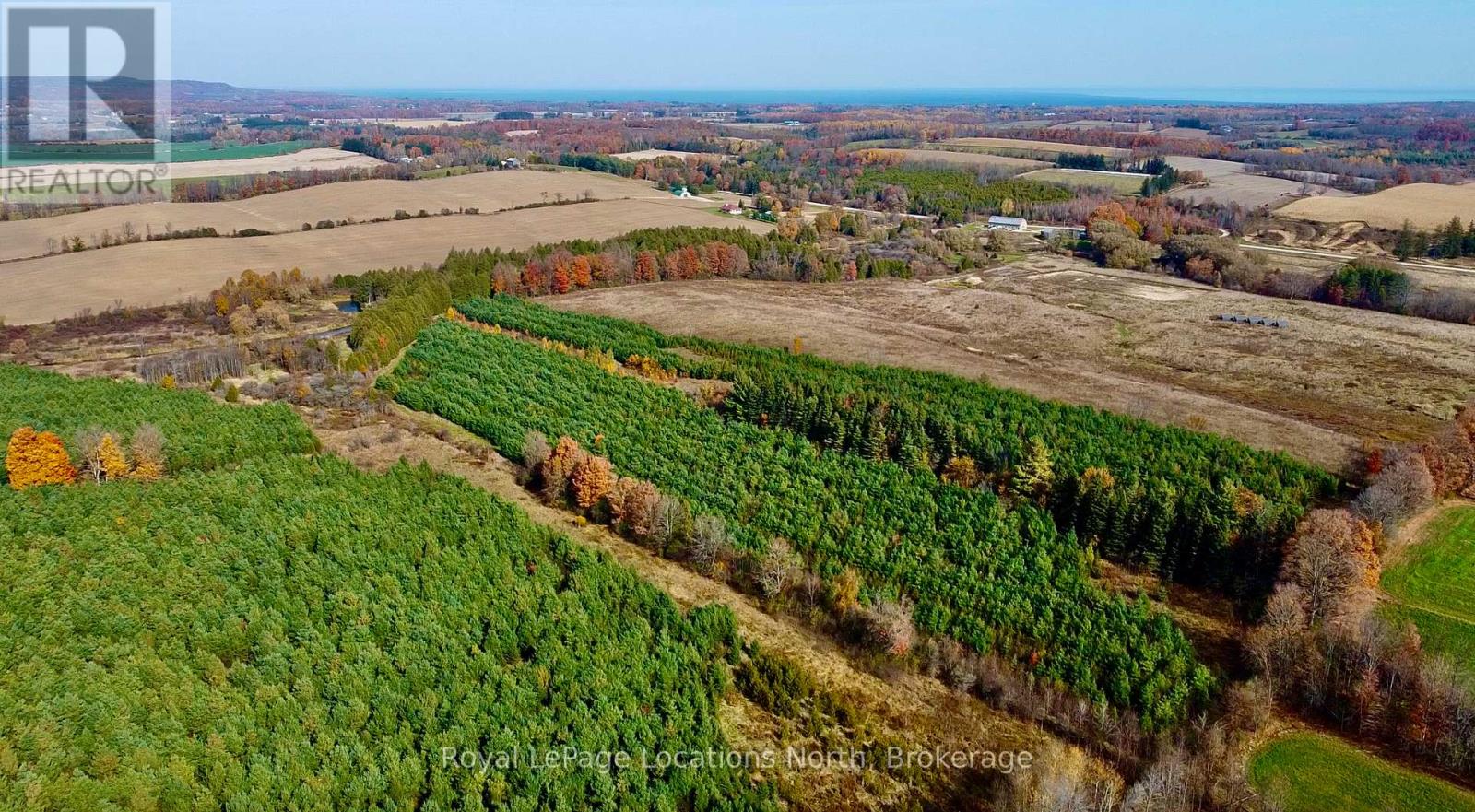 137662 12 Grey Road, Meaford, Ontario  N4L 1W6 - Photo 19 - X11883359
