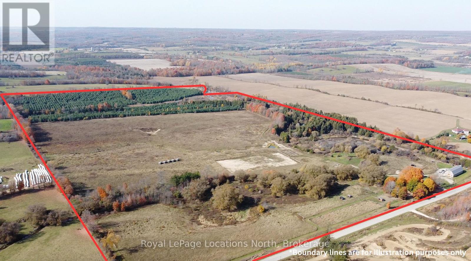 137662 12 Grey Road, Meaford, Ontario  N4L 1W6 - Photo 3 - X11883359