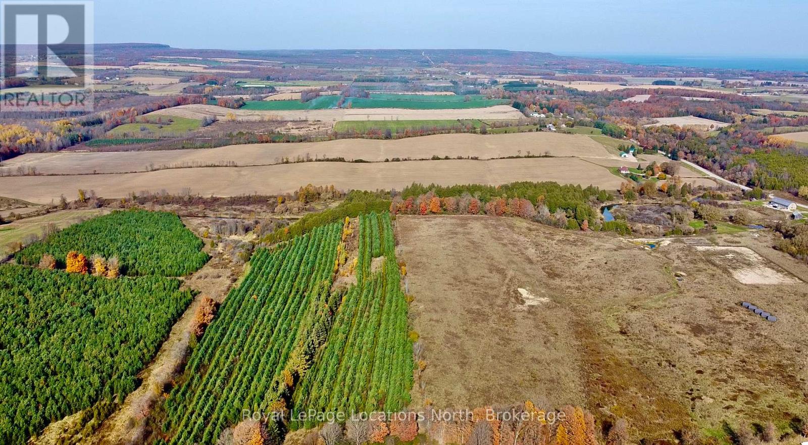 137662 12 Grey Road, Meaford, Ontario  N4L 1W6 - Photo 35 - X11883359