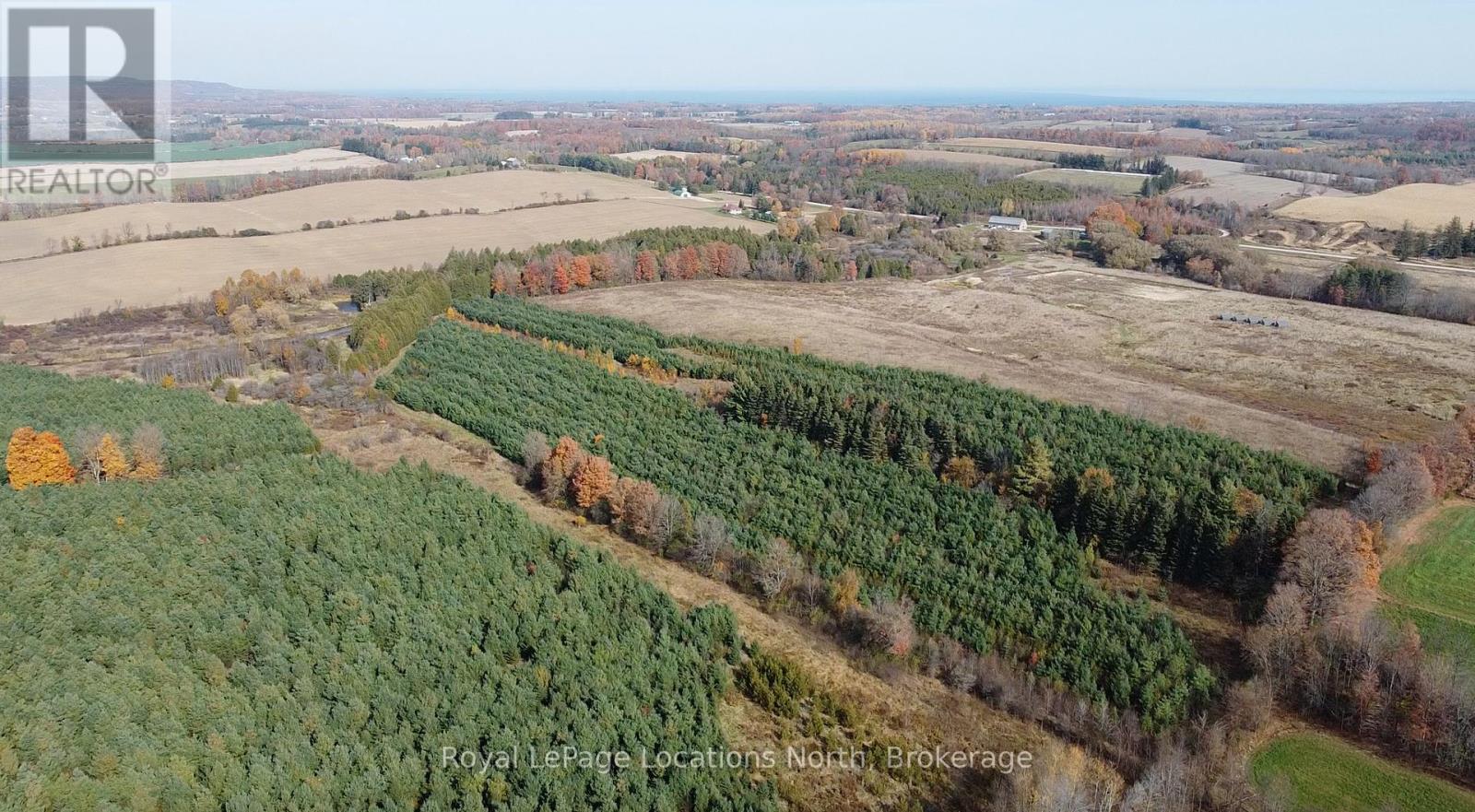 137662 12 Grey Road, Meaford, Ontario  N4L 1W6 - Photo 5 - X11883359