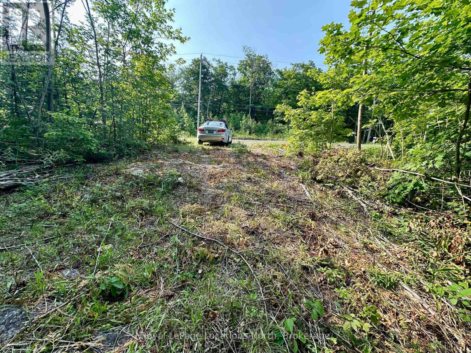 Lot 5 26 Highway, Meaford, Ontario  N4K 5W4 - Photo 11 - X11883564