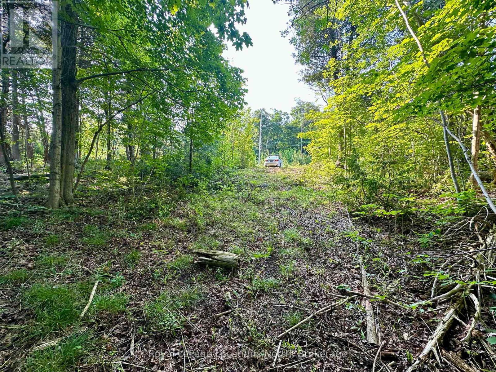 Lot 5 26 Highway, Meaford, Ontario  N4K 5W4 - Photo 12 - X11883564