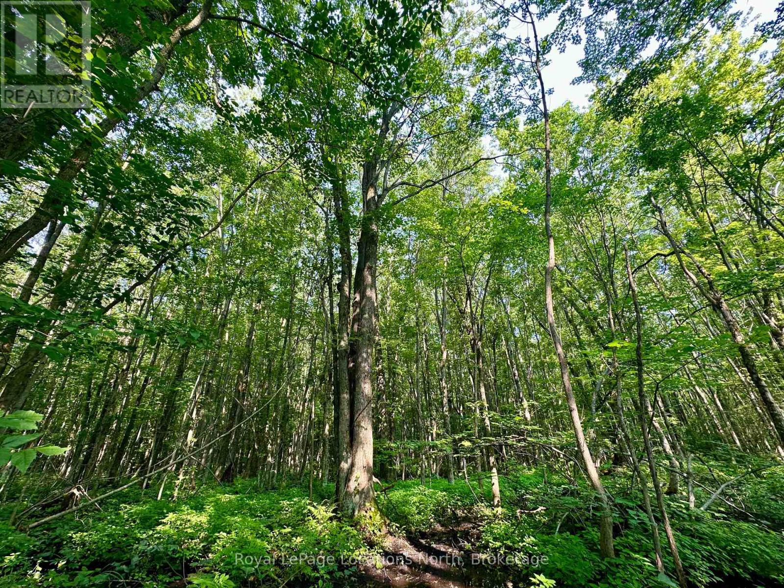 Lot 5 26 Highway, Meaford, Ontario  N4K 5W4 - Photo 13 - X11883564