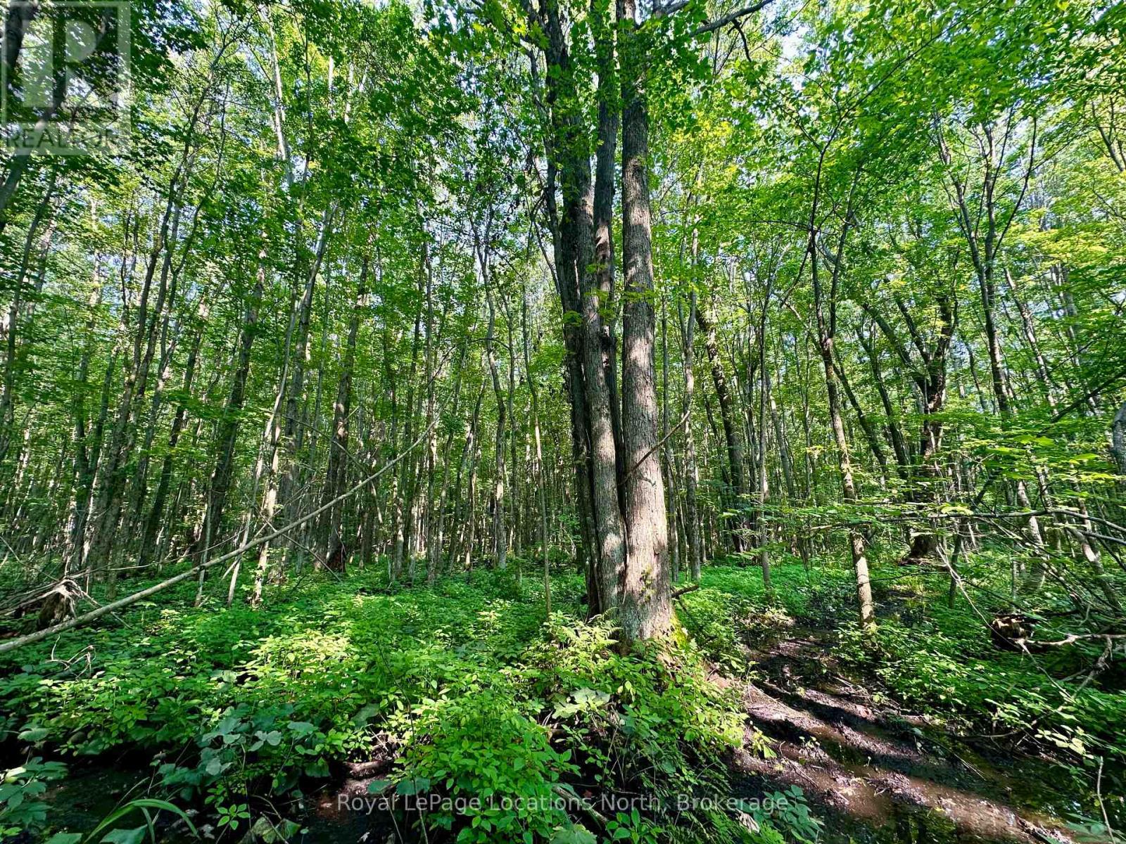 Lot 5 26 Highway, Meaford, Ontario  N4K 5W4 - Photo 14 - X11883564