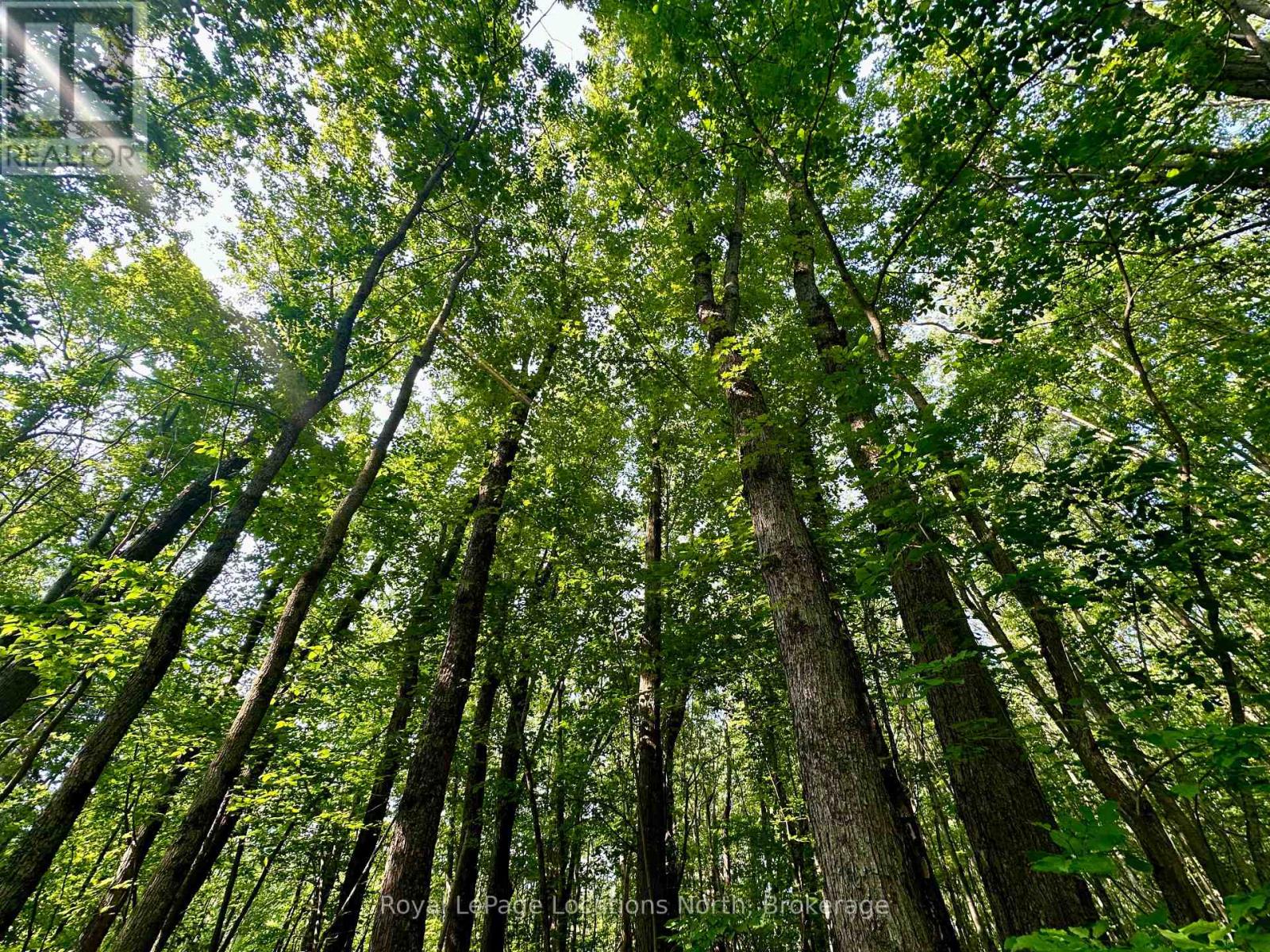 Lot 5 26 Highway, Meaford, Ontario  N4K 5W4 - Photo 15 - X11883564