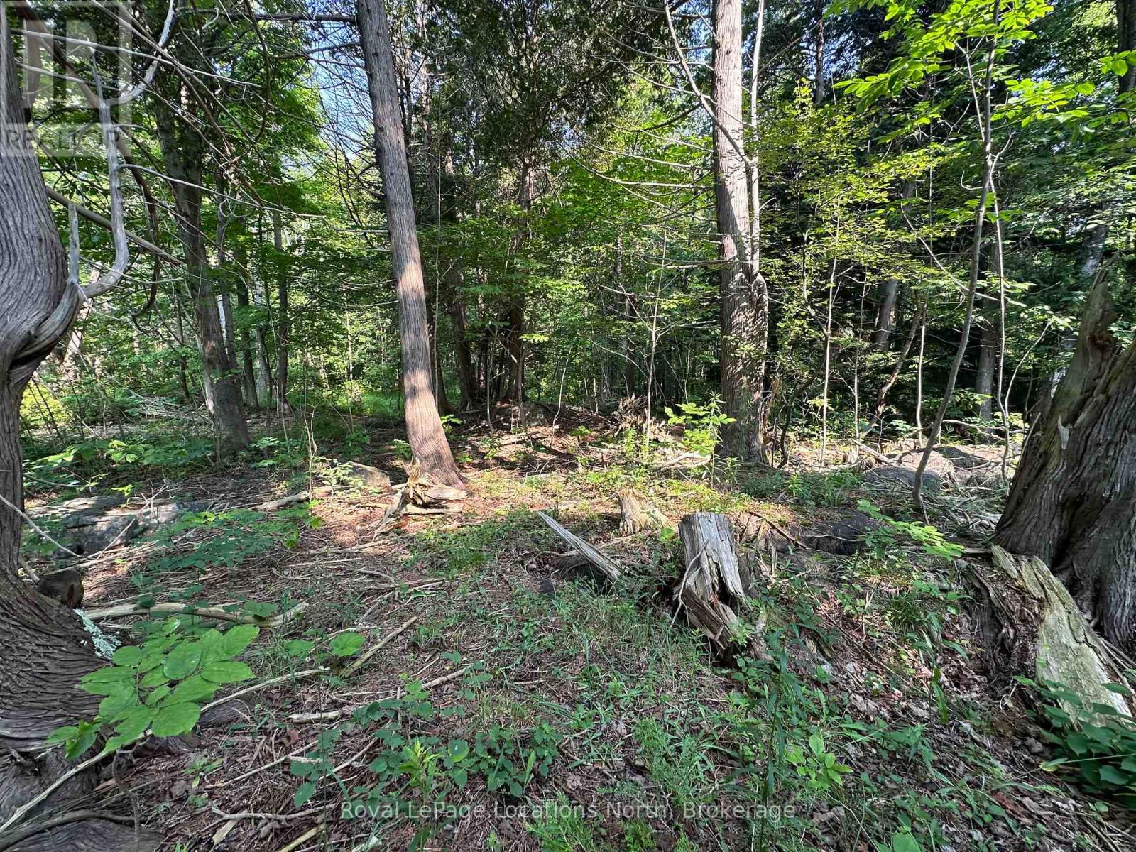 Lot 5 26 Highway, Meaford, Ontario  N4K 5W4 - Photo 9 - X11883564